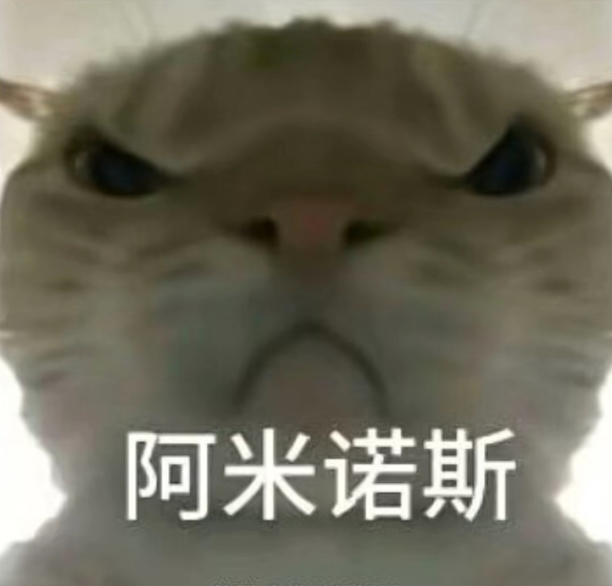 尔萨